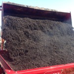 Compost Loading Topdresser