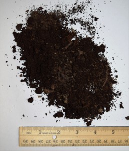 Compost for Top Dressing