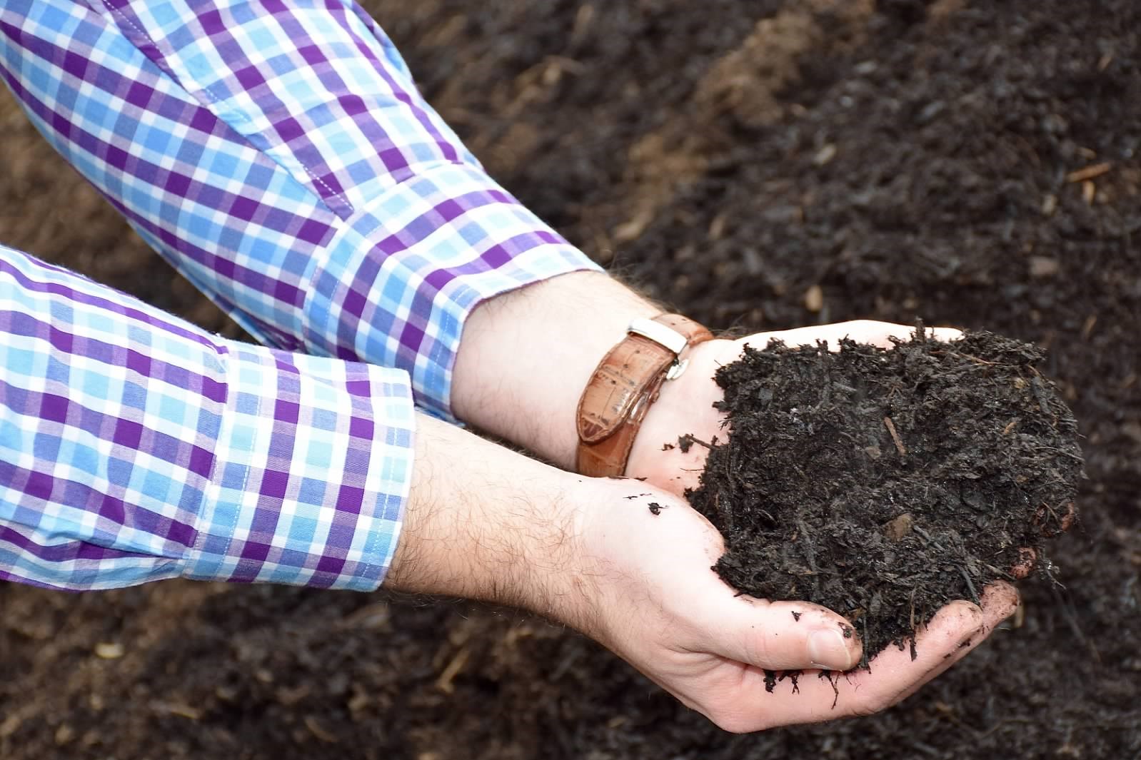 Compost as a Peat Alternative Naturcycle